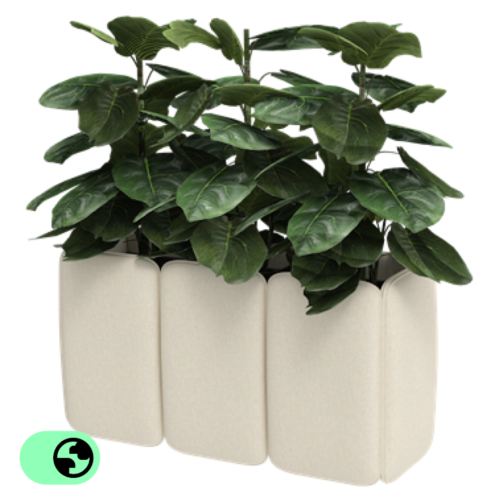 BuzziChicle Planter
