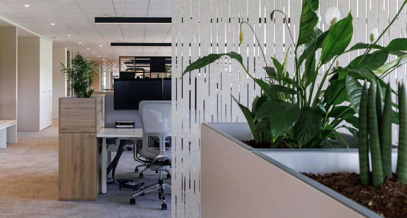inside-synopsys-new-porto-office-a-sustainable-people-focused