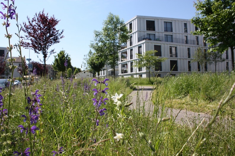 Ein Weg führt durch üppige grün-bunte Wiesen zu einem Wohnhaus – links und rechts sind diverse Bäume geplanzt.