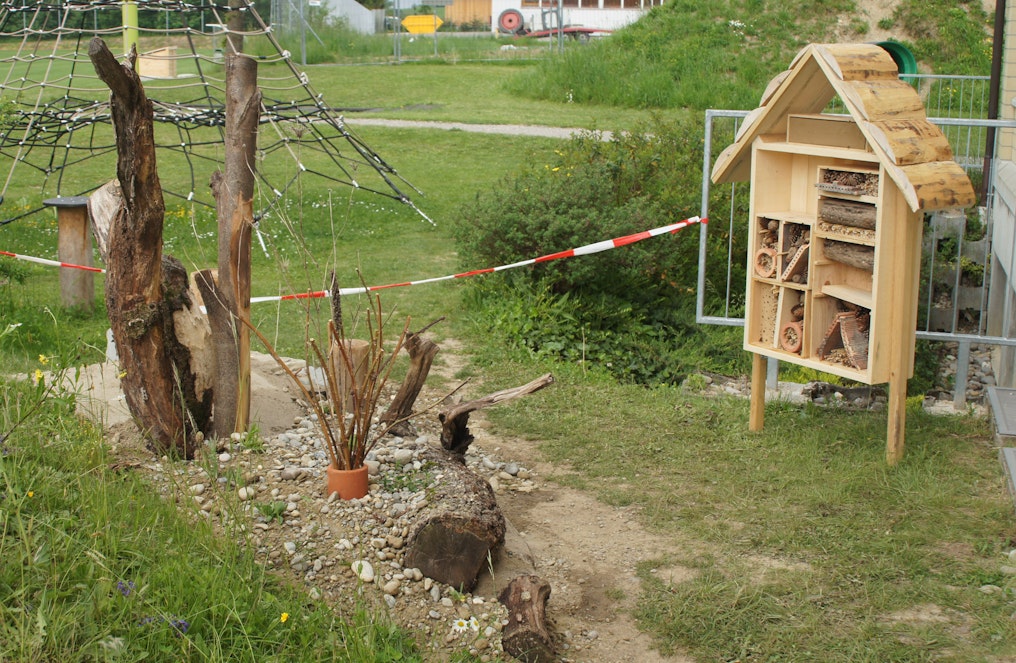 Schulbiodiversität Wer sät, der erntet