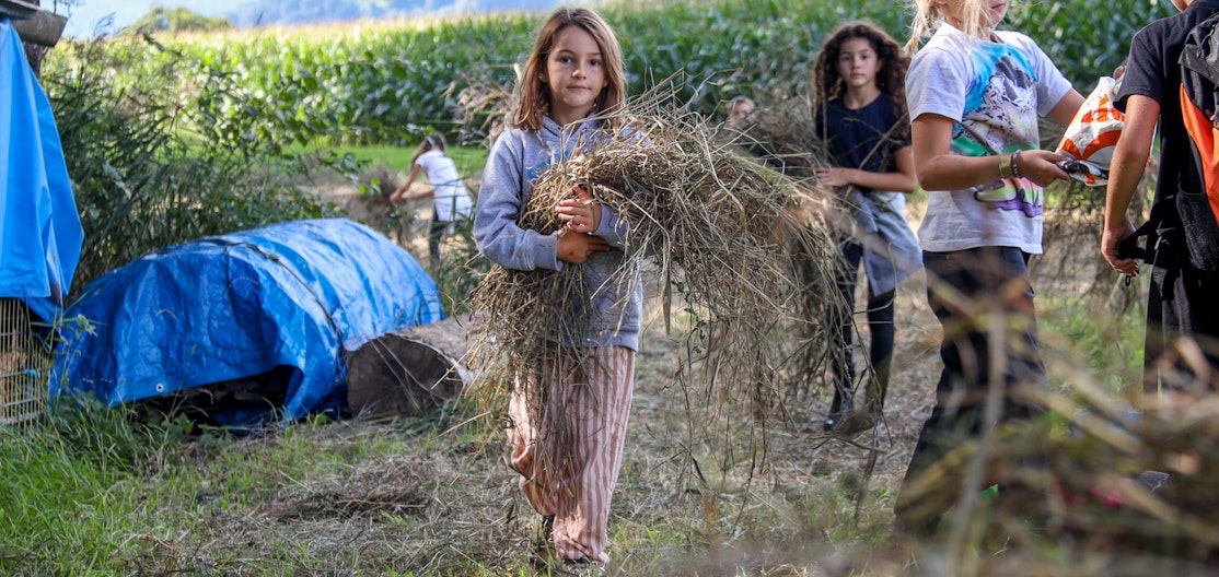 Collecter des branches pour la biodiversité Une jeune fille ramasse du foin sec au bord de la forêt