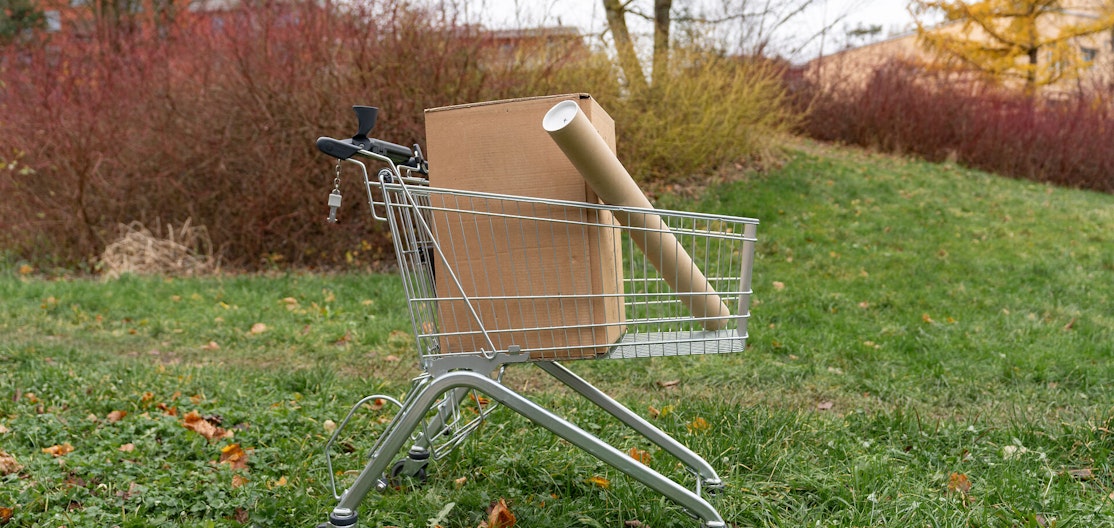 Einkaufswagen Einkaufswagen steht auf einer Wiese, darin liegen zwei Pakete