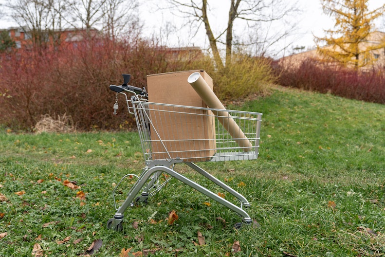 Einkaufswagen steht auf einer Wiese, darin liegen zwei Pakete