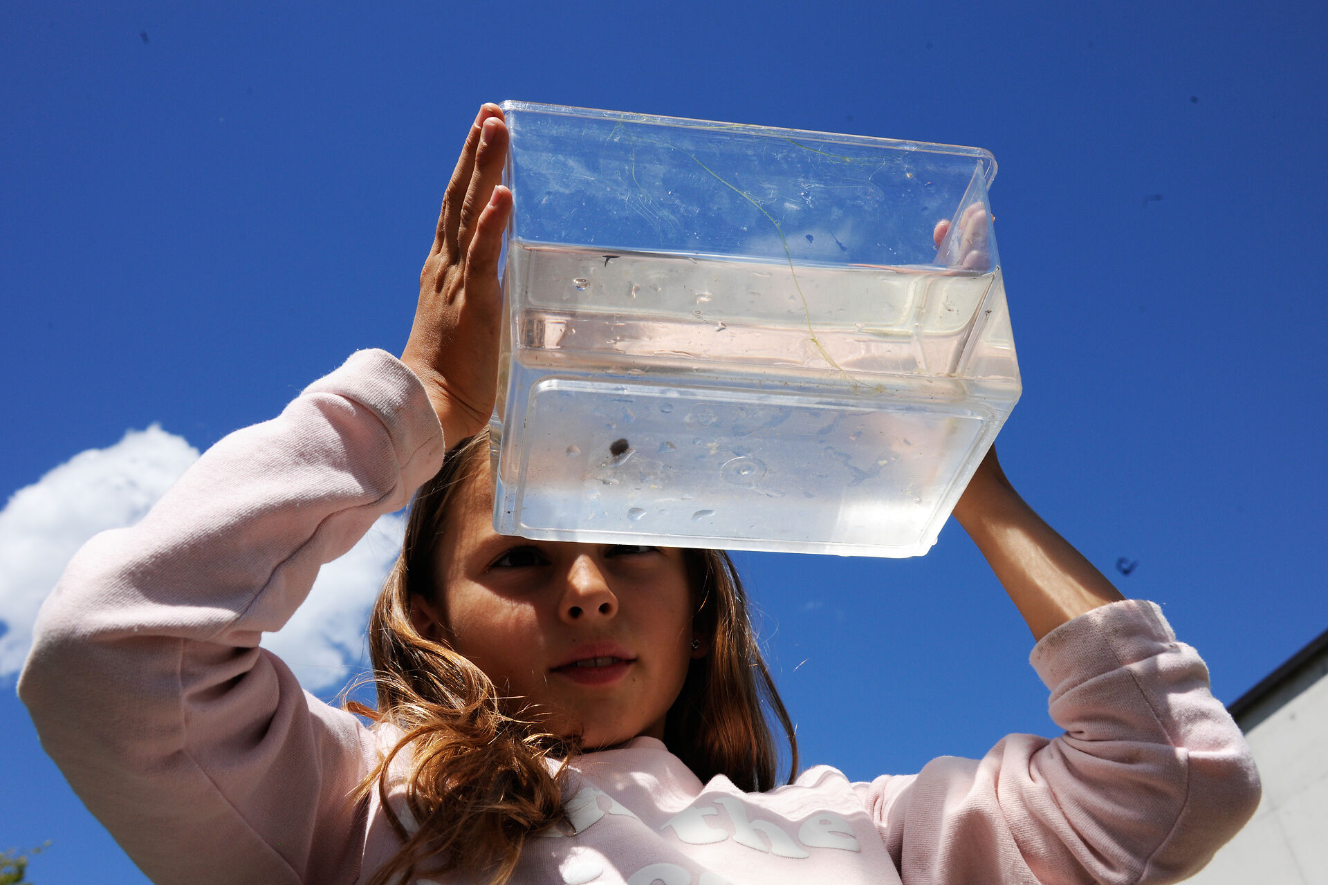 Ein Mädchen hält einen transparenten Wasserbehälter gegen den blauen Himmel und beobachtet neugierig den Inhalt.