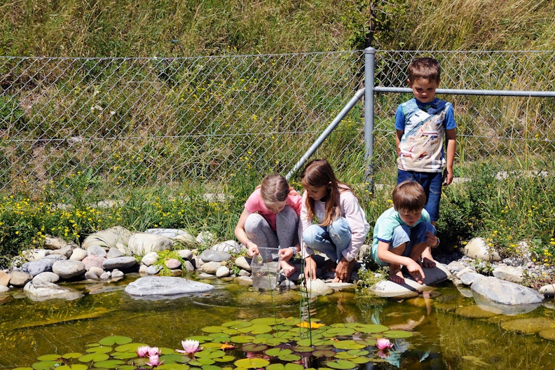 Vier Kinder sitzen um einen Teich und untersuchen das Wasser.