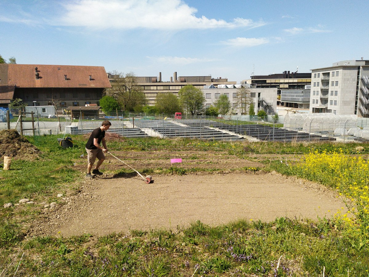 Blumenwiesen anlegen und pflegen