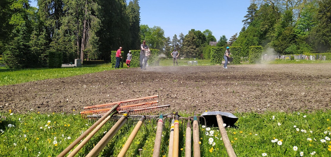 Neuansaat einer Blumenwiese Auf einem Acker wird im Hintergrund eine Blumenwiese neu angesät. Im Vordergrund liegt Gartenwerkzeug.