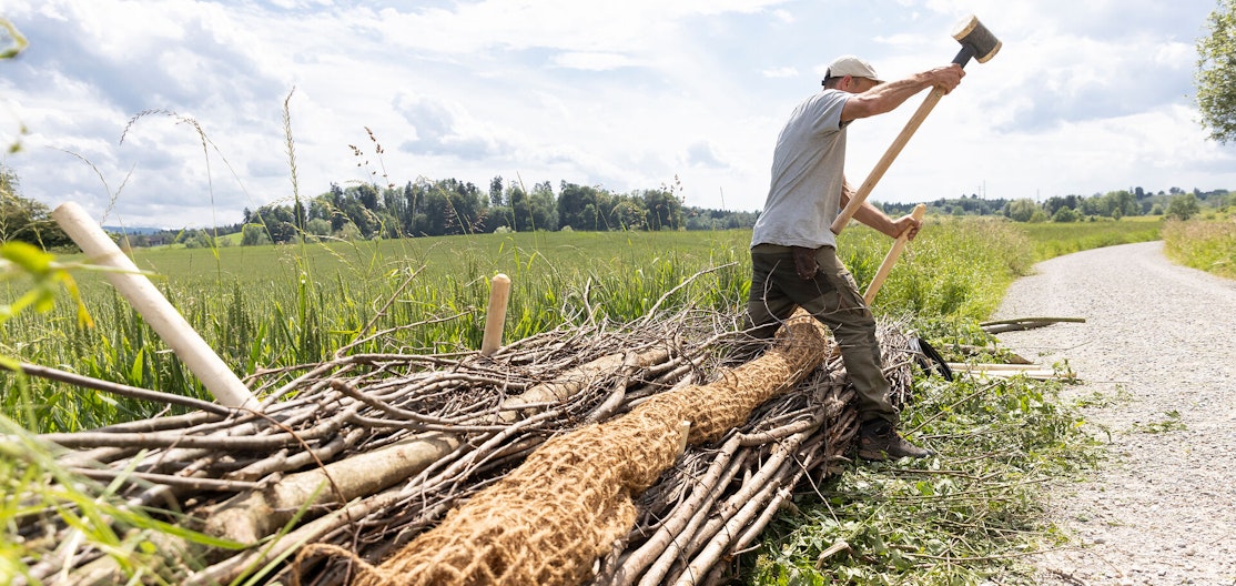 Gewässerwart in Aktion Ein angehender Gewässerwart steht breitbeinig über einem grossen Reisigbündel, das zu einer Faschine verbaut wird, und schlägt mit einem Hammer auf einen Pflock.