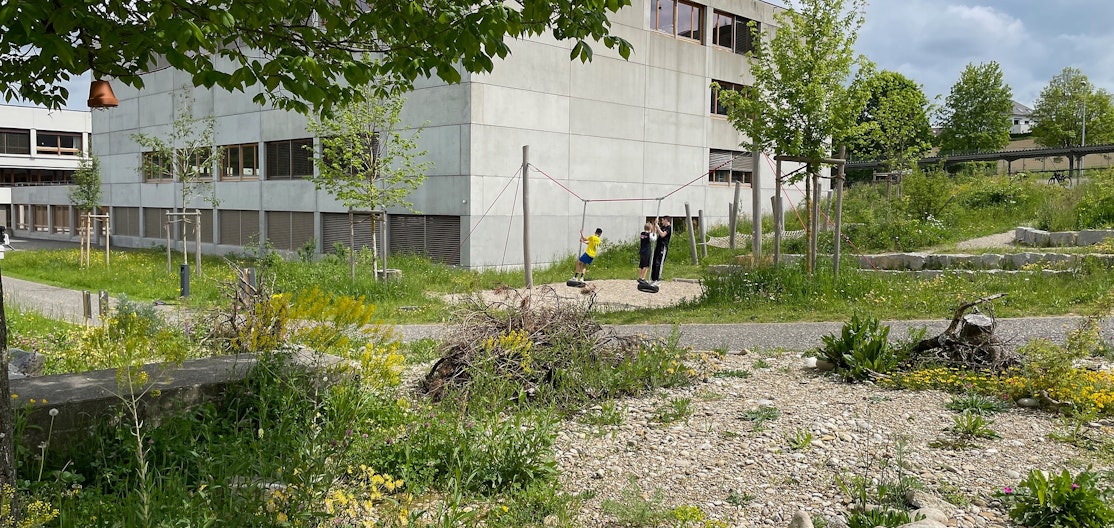 Petites structures et surface rudérale Environs d’une école aménagés avec des petites structures et des surfaces rudérales, ce qui favorise la biodiversité.