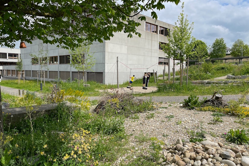Environs d’une école aménagés avec des petites structures et des surfaces rudérales, ce qui favorise la biodiversité.