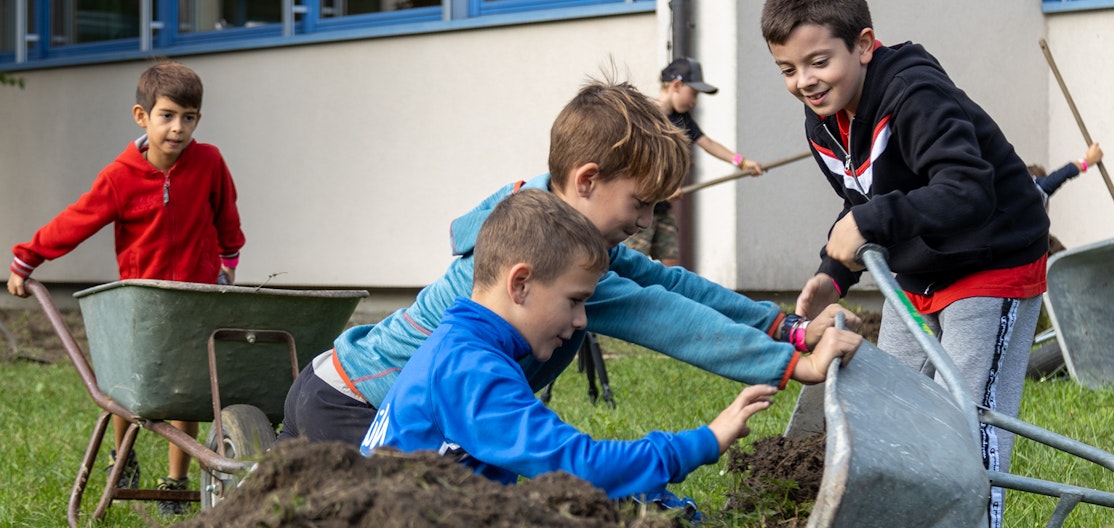 Schulkinder im Einsatz für die Biodiversität Drei Jungs heben eine Schubkarre vom Boden auf.
