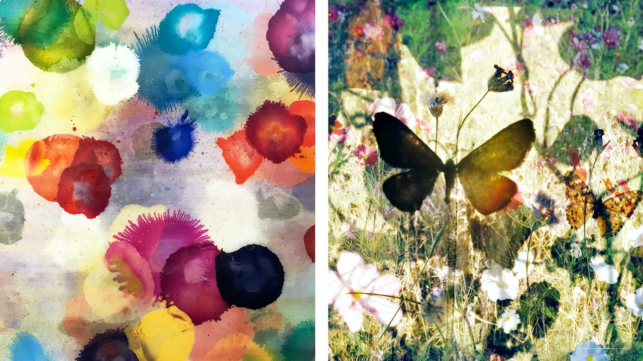 Twee schilderijen naast elkaar, beide vrolijk. Aan de linkerkant kleurige spetters, aan de rechterkant een vlinder in abstracte natuur.