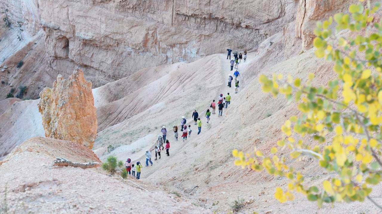 Train of people in a distance walking through rough, stony nature, branch of three in the foreground. .