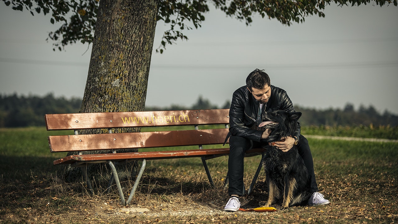 Mann mit Hund sitzt unter einem Baum auf der Parkbank.