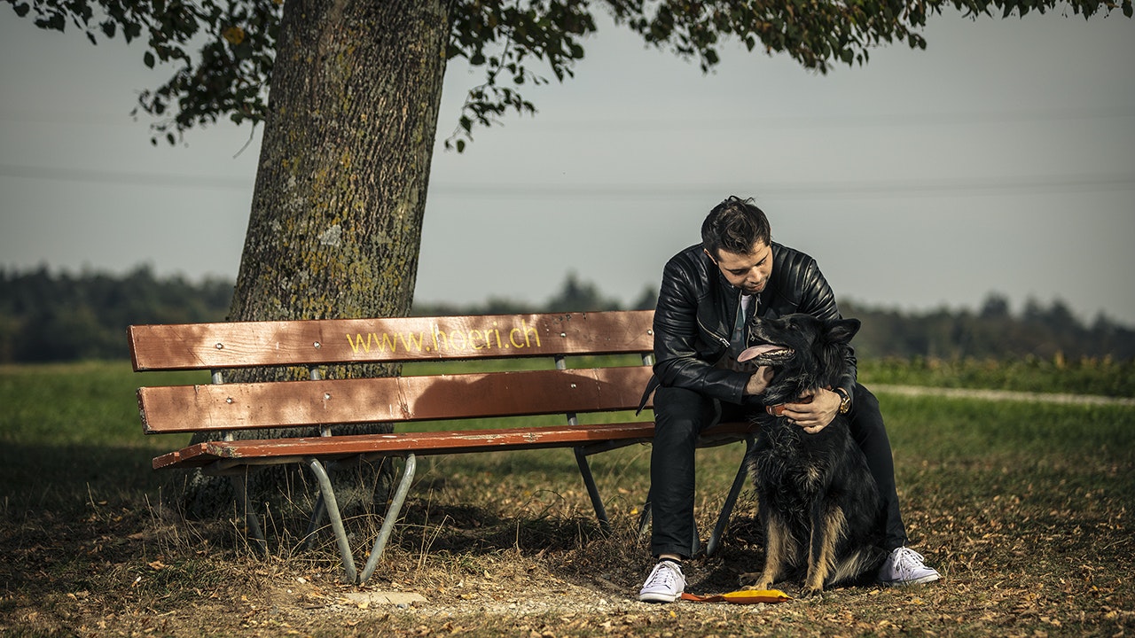 Man with dog sitting under a tree on the park bench.