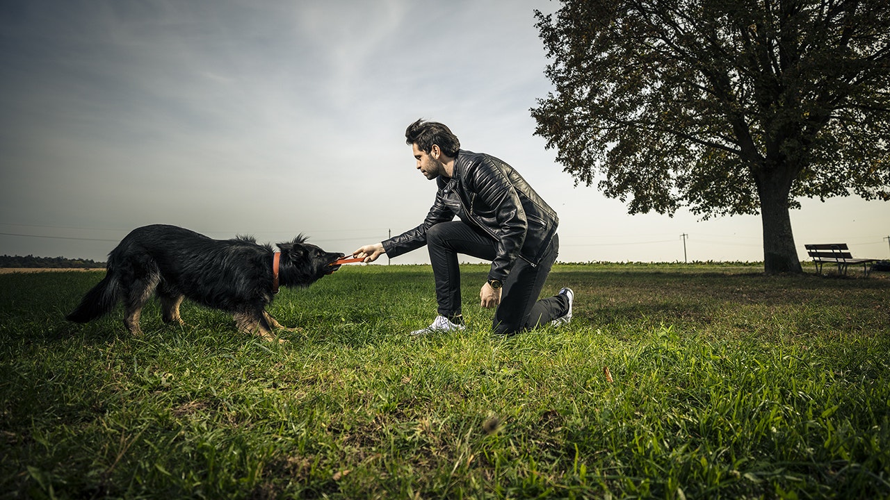 Mann draussen mit dem Hund spielend.