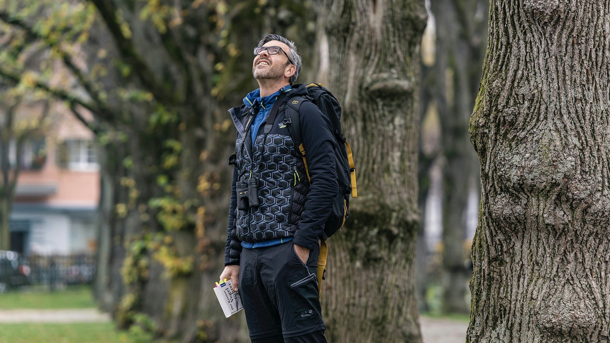 Man looking up at the sky in front of an avenue of trees.