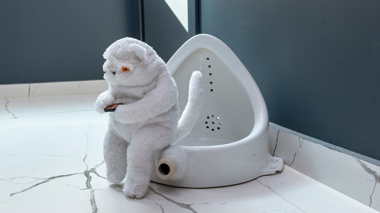 Art installation - cat sitting on bidet
