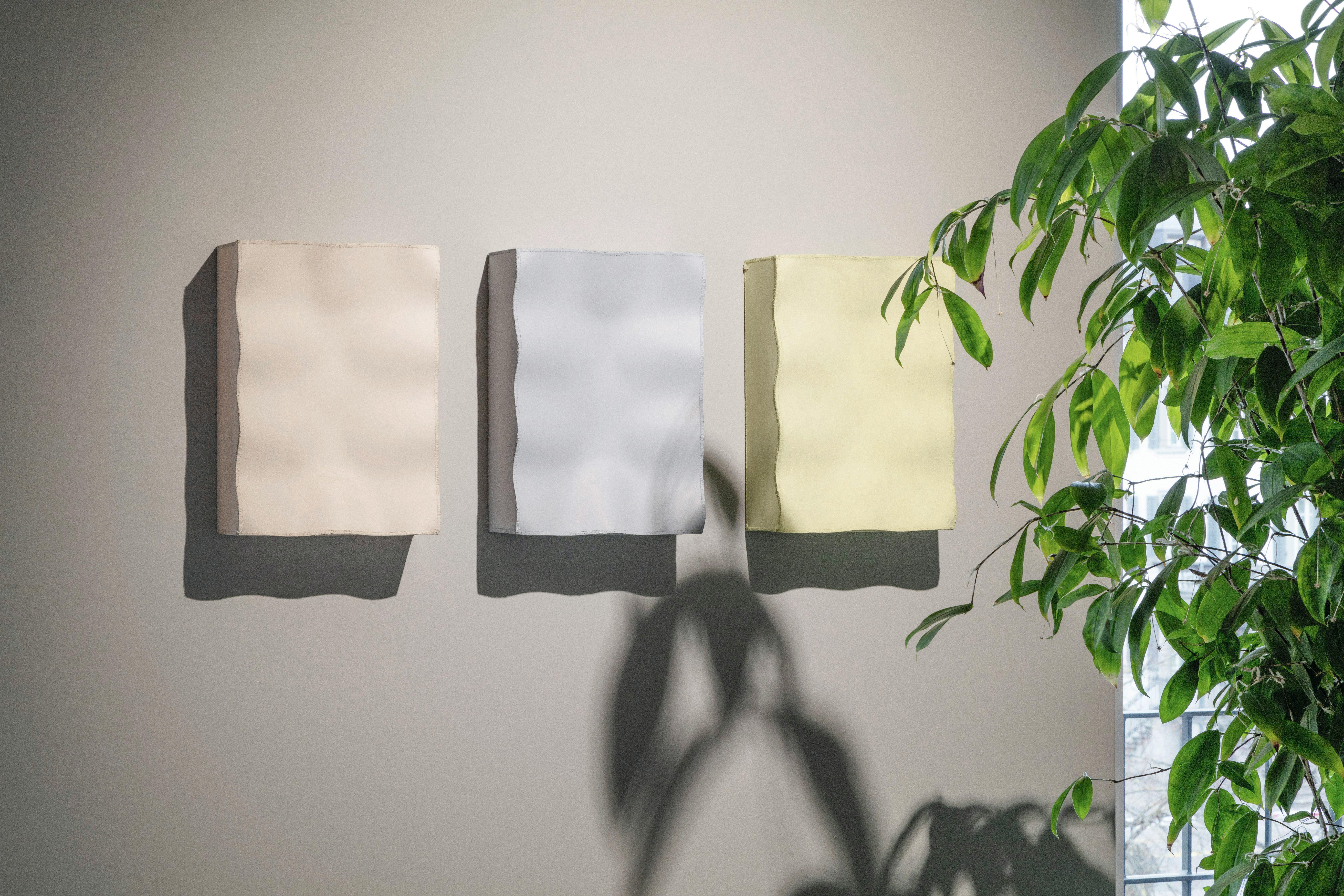 Drei skulpturale, leicht gewellte Wandobjekte in Pastelltönen – Rosa, Grau und Gelb – hängen nebeneinander an einer hellen Wand. Rechts im Bild ragt eine grüne Pflanze ins Bild und wirft Schatten auf die Wand.
