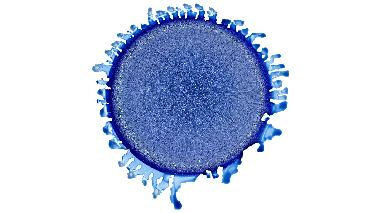 Blue round-shaped artwork