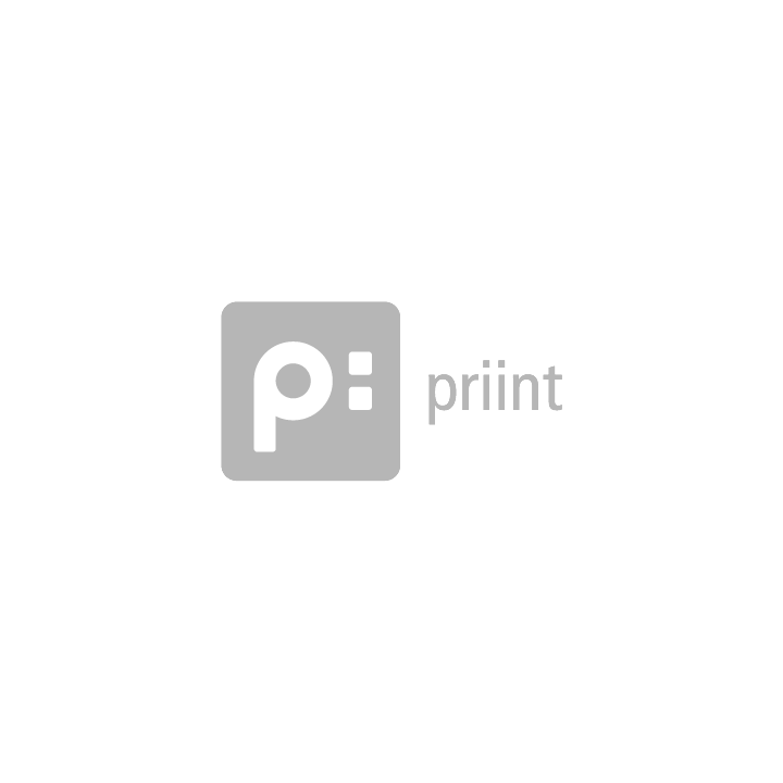priint group Logo 720x720
