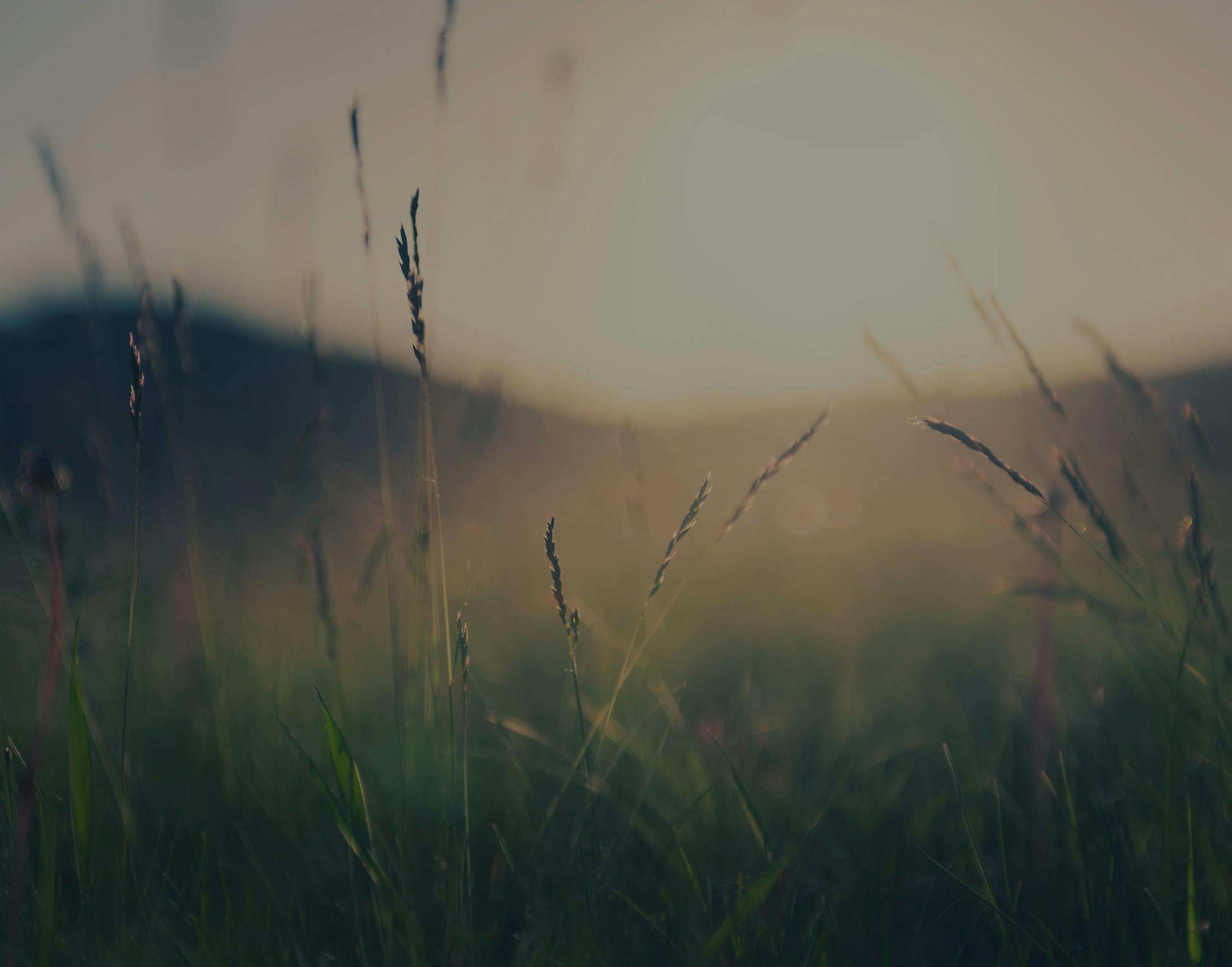 Background media
