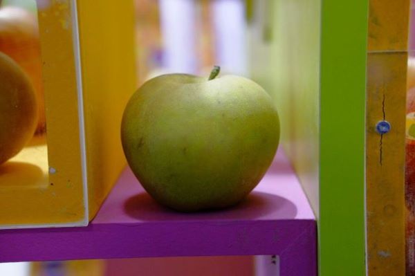 Goharbar Fruit Trees Apples