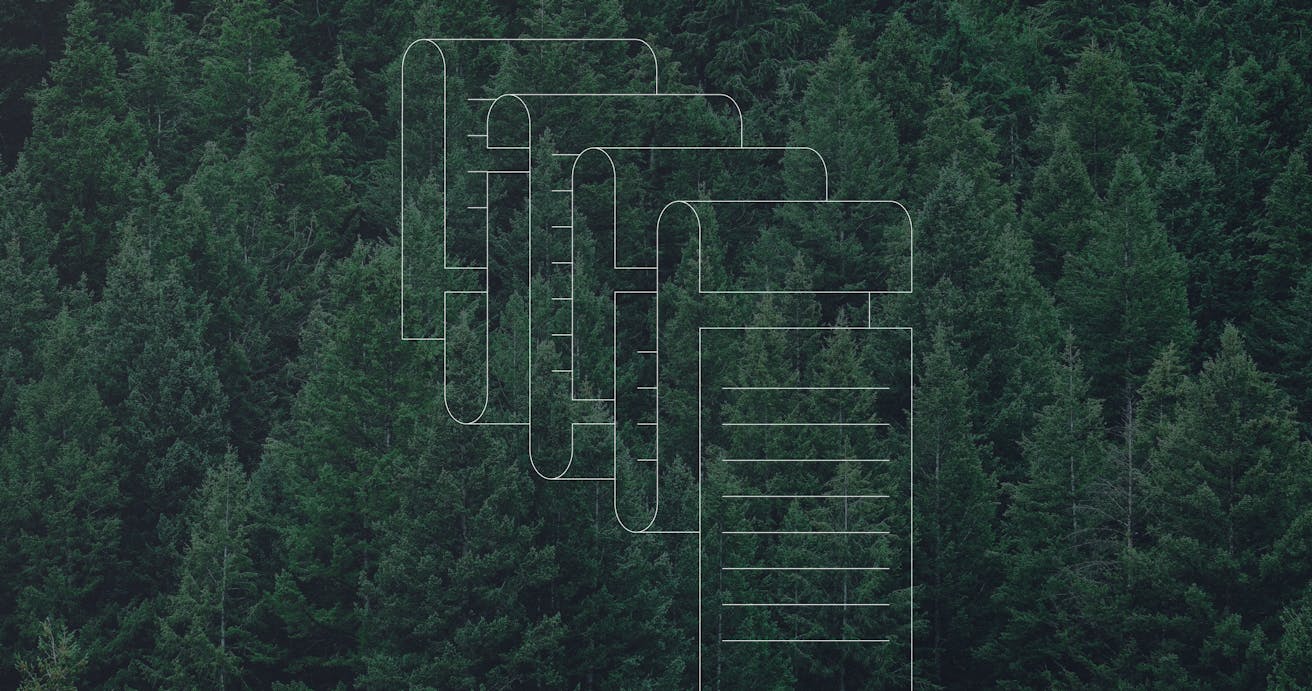 Going paperless - CargoX to plant 10,000 trees as electronic trade documentation takes root