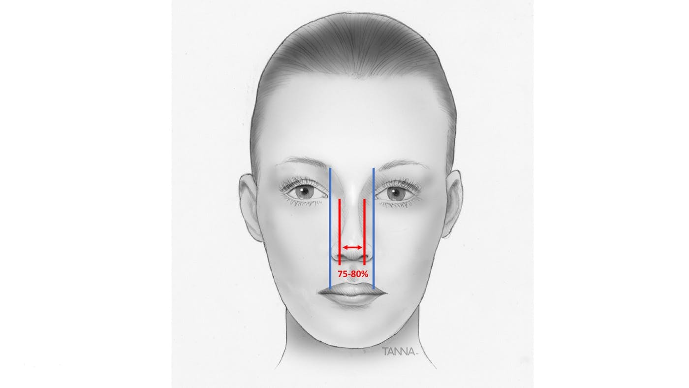 Drawing of a Woman's Face