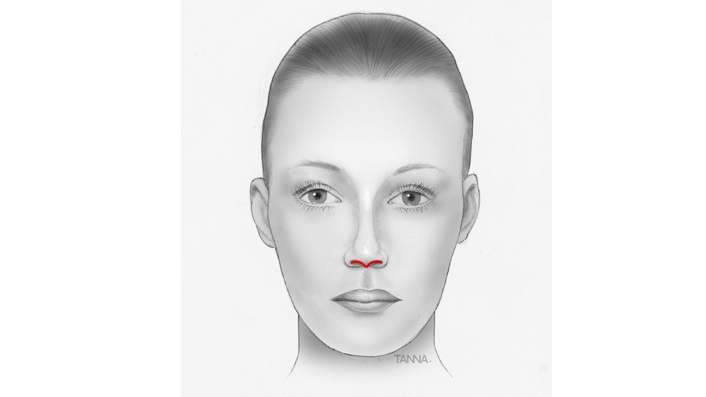 Drawing of a Woman's Face