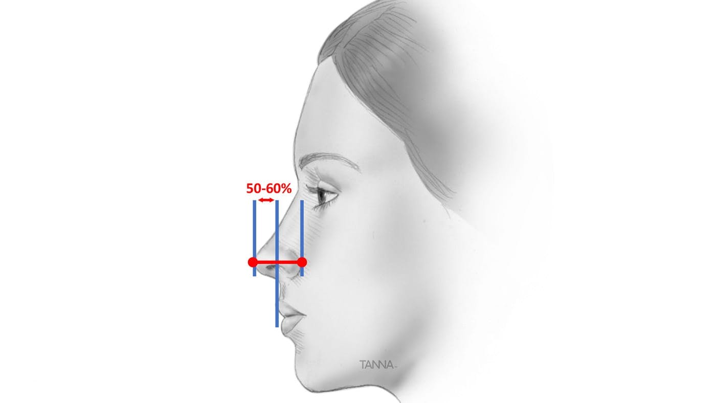 Profile of a Woman's Face