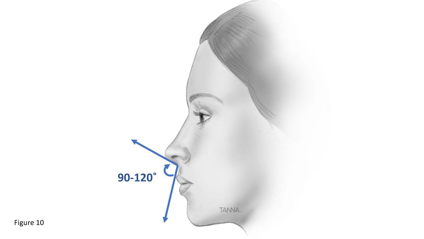 Profile of a Womans Face Showing the Angle of Her Nose