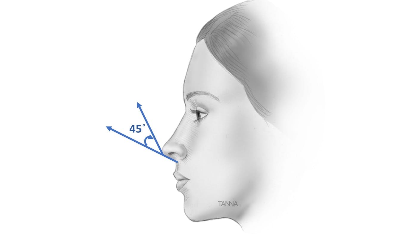 Profile of a Woman's Face Showing the Angle of Her Nose