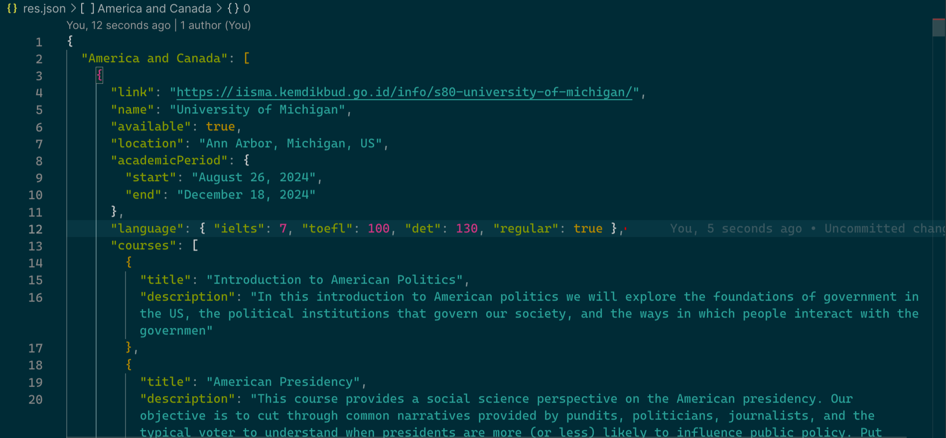 Screenshot of the intermediary JSON files (common attributes)