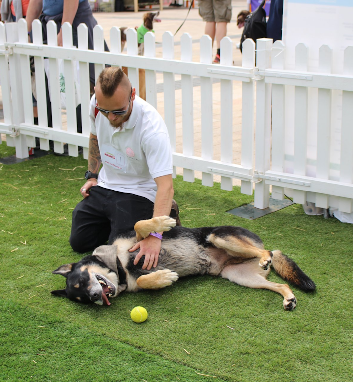 The Family Pet Show
