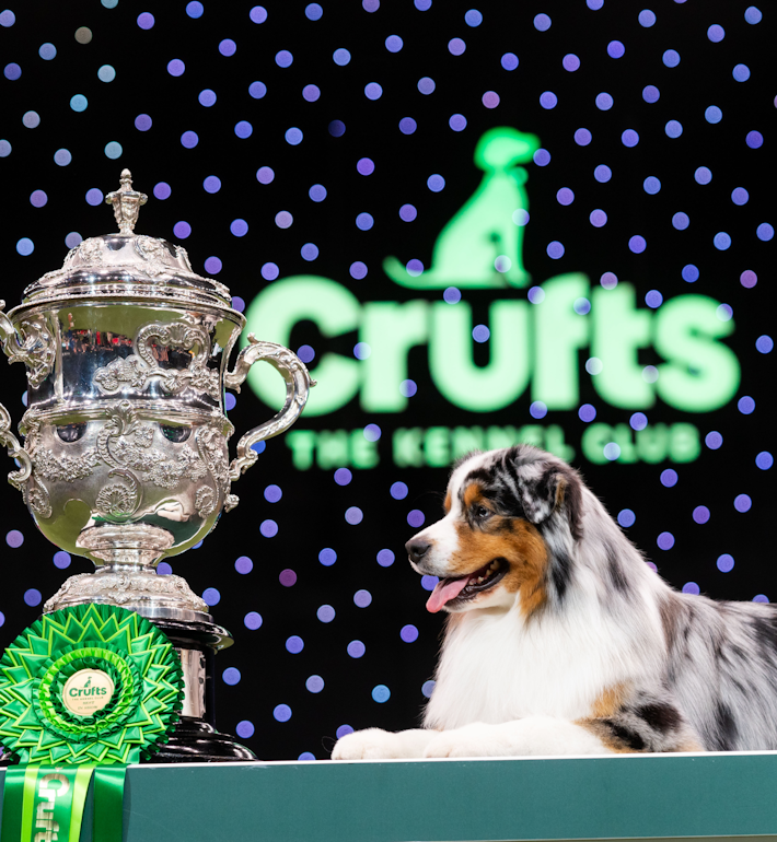 Crufts