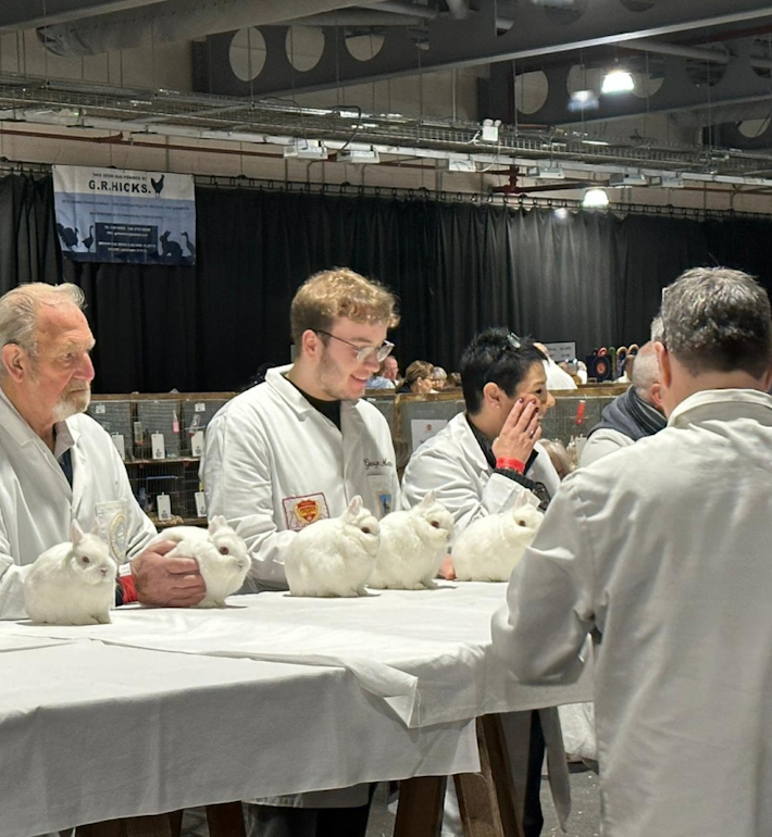 Bradford Premier Small Animal Show