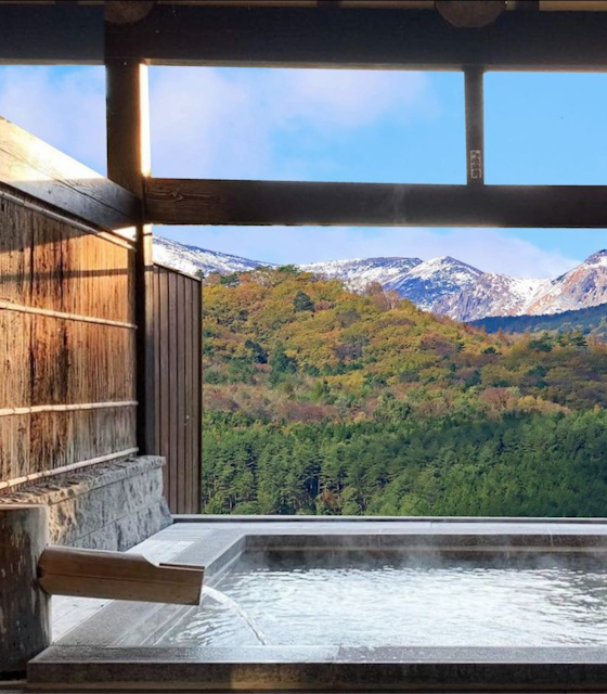 World Spa & Wellness Convention