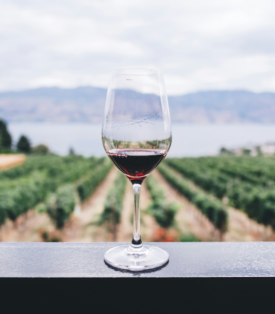 London Wine Fair