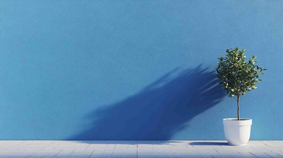 Plant in white pot against a plain blue wall with long shadow