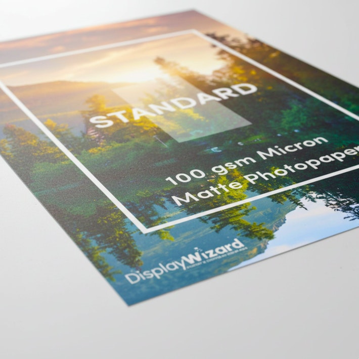 Standard Posters