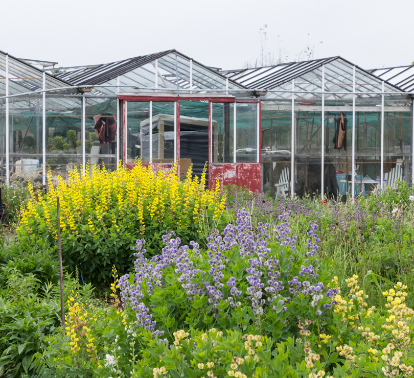 Garden Centre