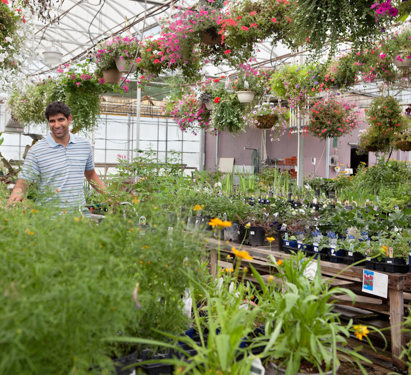 Popular Displays for Garden Centres