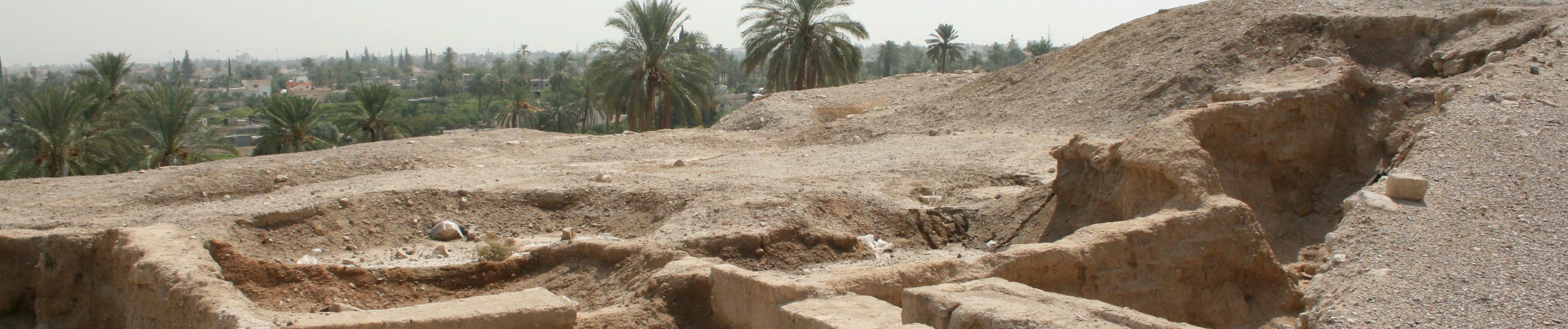 Early settlements, exchange and the origins of product display