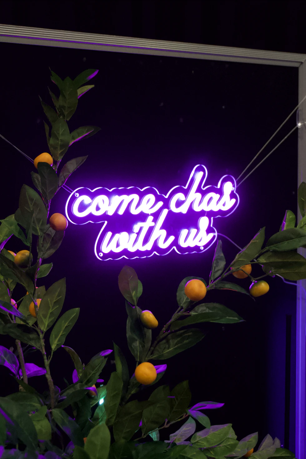 come chas with us