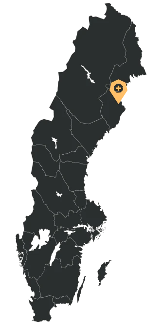 .NET Skellefteå