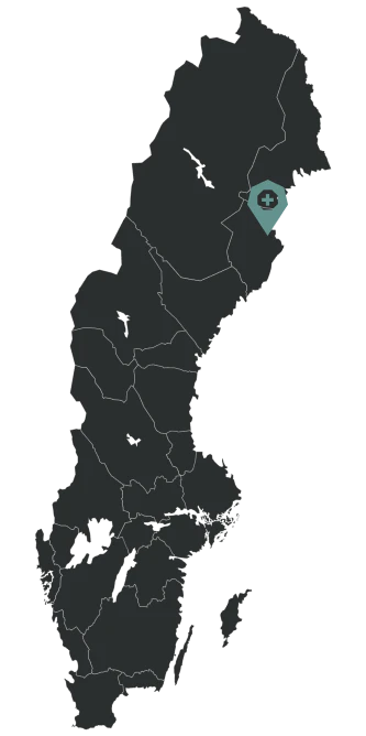 Systemutvecklare Skellefteå