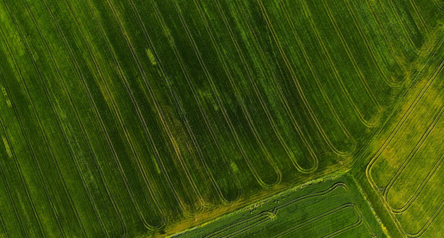 We identify the best suitable governance structures and support management teams to successfully lead companies