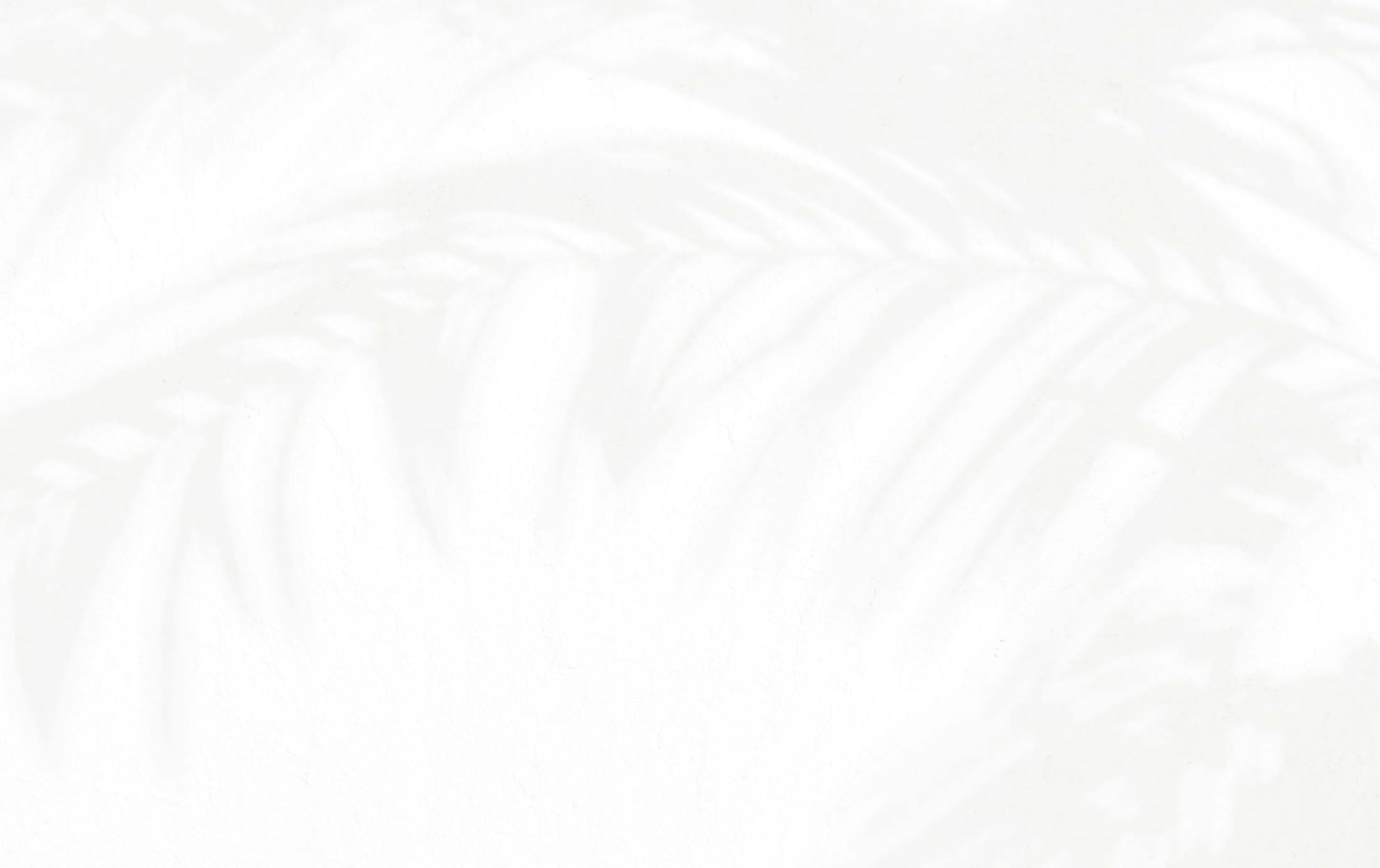 background imagery