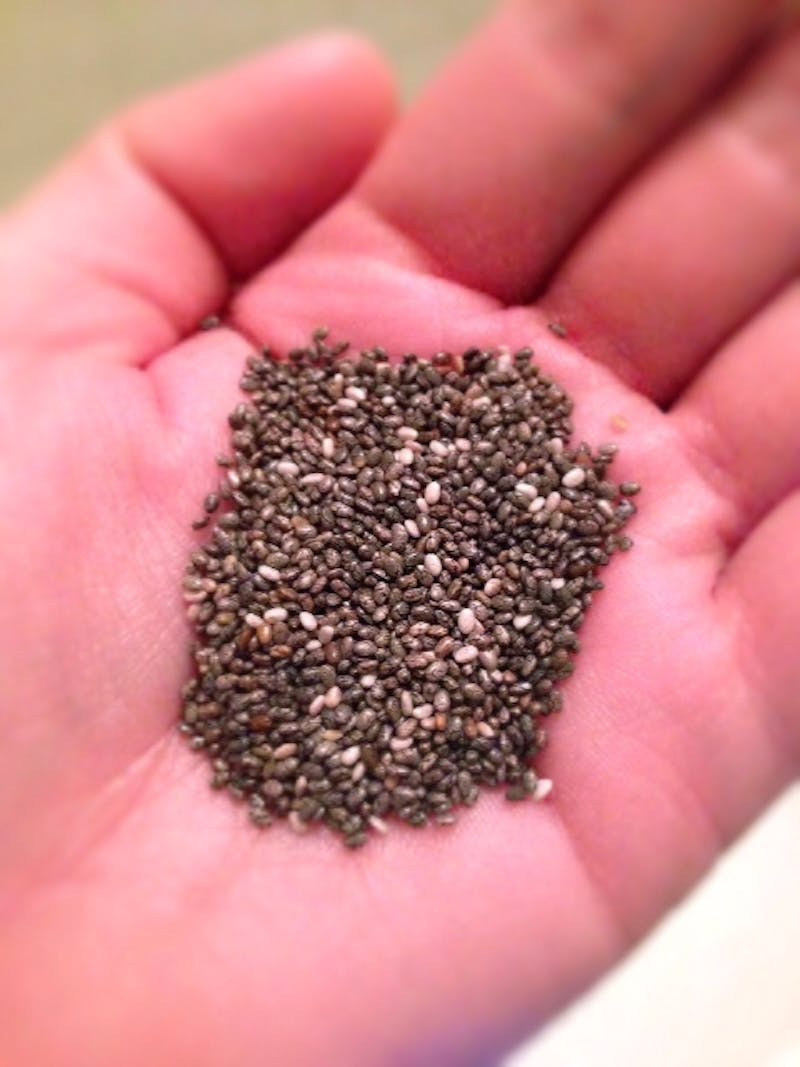 there is a person holding a handful of chia seeds in their hand